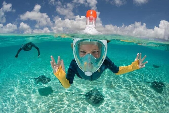 Hurghada Swim With Dolphins and Snorkling - Reviews and Ratings