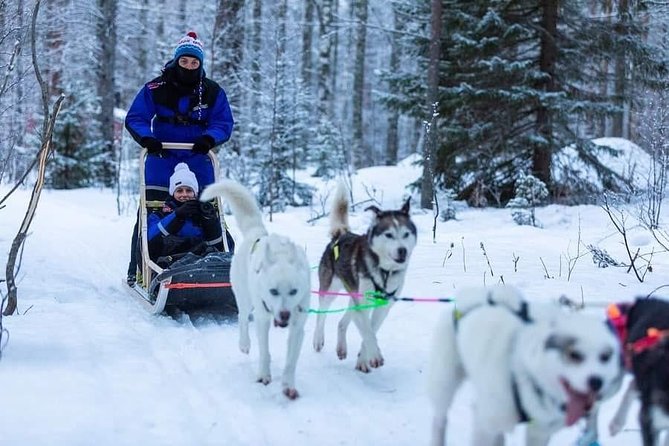 Husky Safari - The Husky Safari Experience