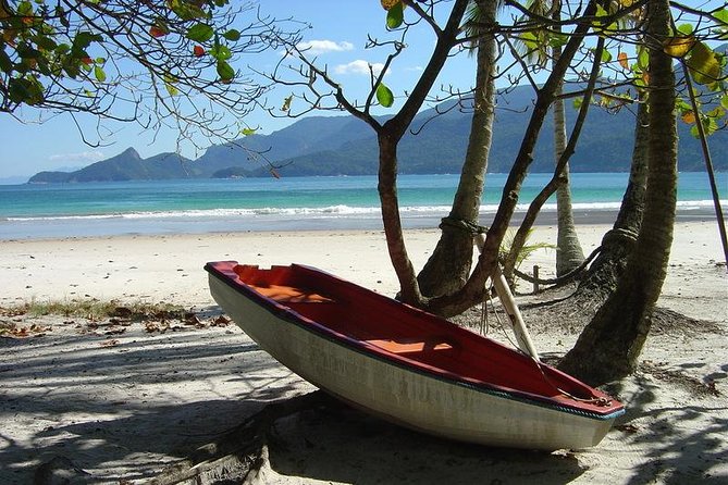 Ilha Grande - From Abraão: Lopes Mendes Beach Tour & Trekking - Boat Ride to Pouso