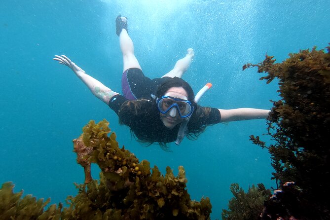Incredible Galapagos Adventure: Snorkeling and Volcanoes - Itinerary Highlights