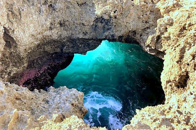 Incredible West Side Hidden Gems of Oahu(Optional Tour With Celebrity Hula Dog) - Tour Highlights