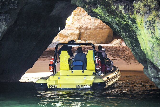 Insonia Cave and Dolphins Speedboat With Transport - Pricing and Booking Options
