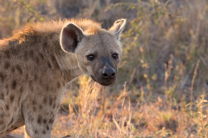 Isimangaliso Sunset Game Drive - Inclusions and Logistics