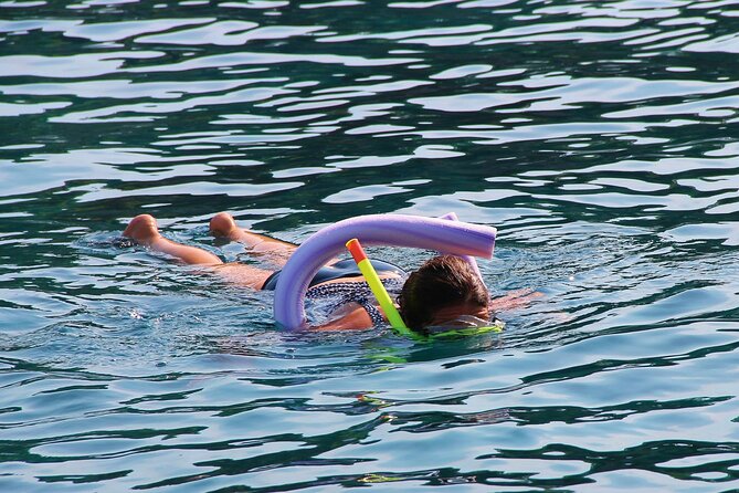 Islamorada: Snorkeling From the Islander Hotel - Snorkeling Excursion Overview