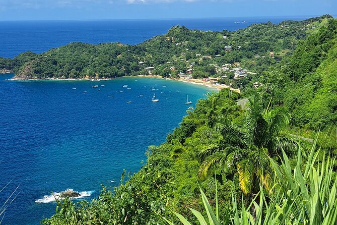 Island Tour (Food and Drinks Include) - Island Tour Highlights