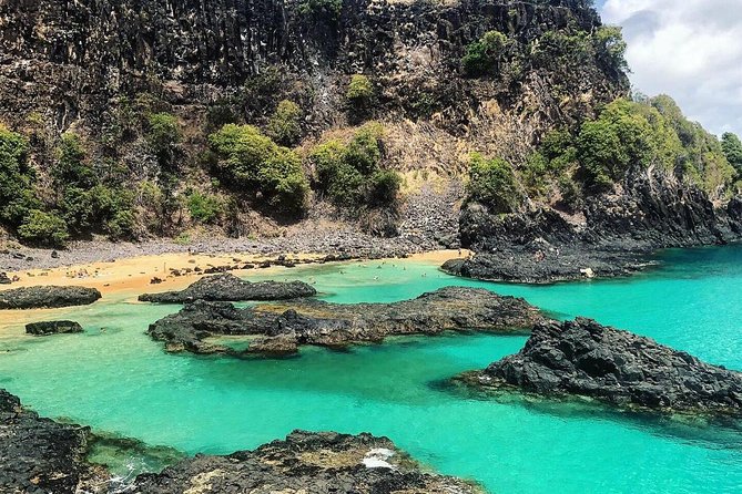 Island Tour in Fernando De Noronha - Tour Operator and Group Size