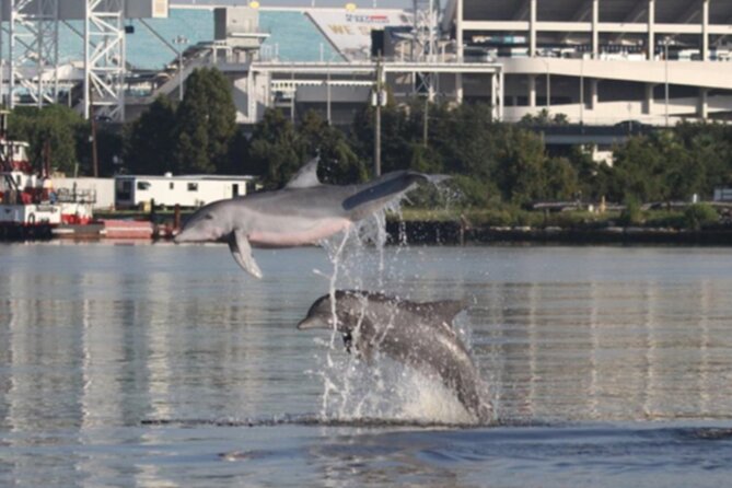 Jacksonville Private Daytime Boat Tour in for up to 6 Passengers - Viator Help Center