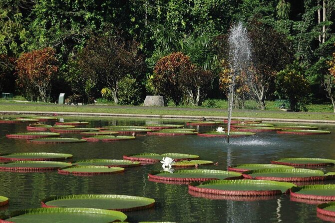 Jakarta Bogor Botanical Garden, Waterfall and Rice Terrace, Lunch - Exploring Jakarta Bogor Botanical Garden