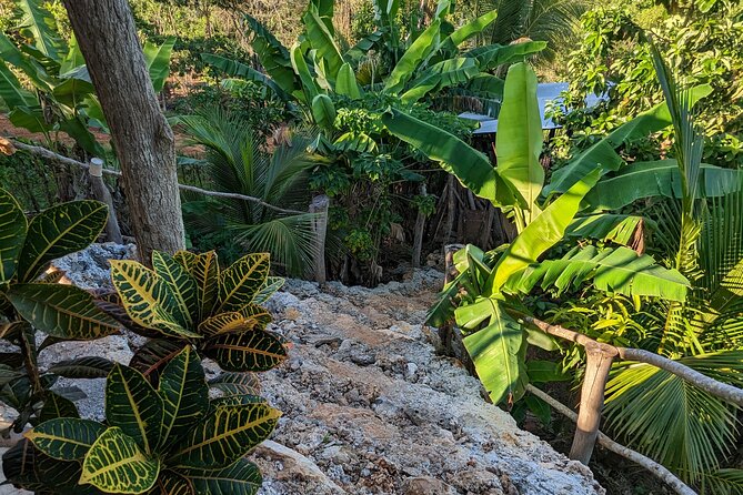 Jamaican Roots Tropical Farm Tour - Explore & Chill (2 Hr) - Tour Highlights