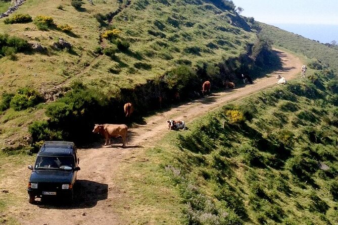 Jeep Tour Câmara De Lobos - Half Day - Tour Highlights