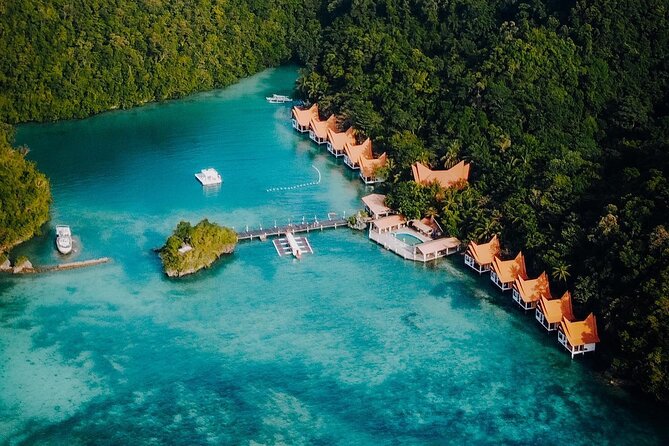 Jellyfish Sanctuary and Sohoton Cove Full-Day Tour - Traveler Experience Highlights