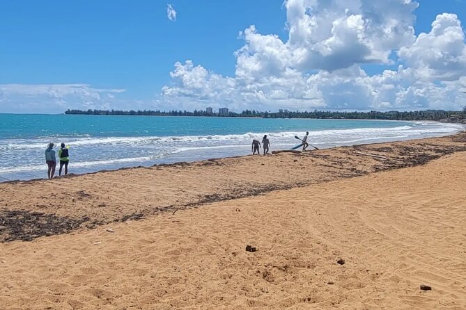 Jet Ski Guided Experience in Luquillo Beach - Reviews