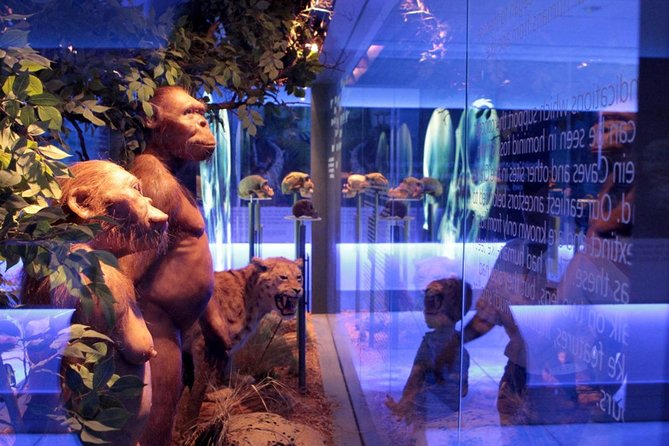 Johannesburg Private Sterkfontein, Maropeng, Safari Park Tour  - Pretoria - Cancellation Policy