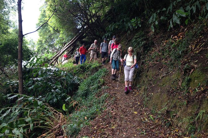 Join Us to the Amazing Walk Sanguinho and Its Forest - Tour Highlights