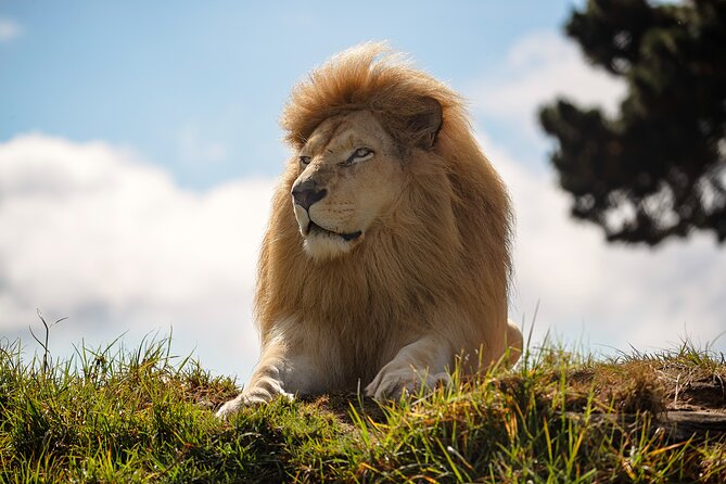 Jukani Wildlife Sanctuary Admission With Guided Tour - Inclusions