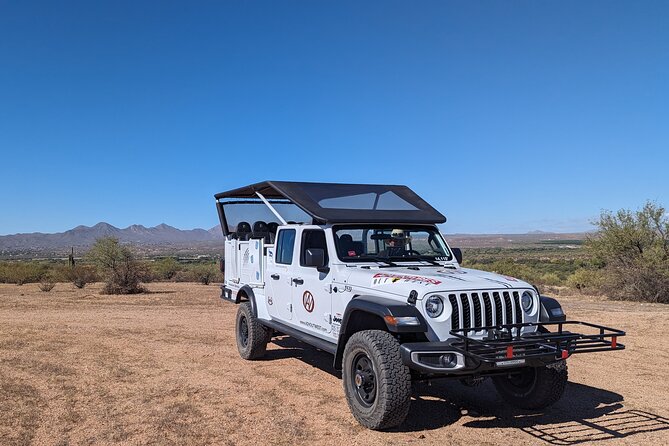 Jumping Cholla (Choya) Jeep Tour - Tour Overview