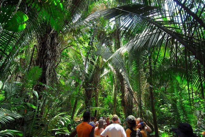 Jungle Adventure: Hike and Tube Excursion - Adventure Highlights