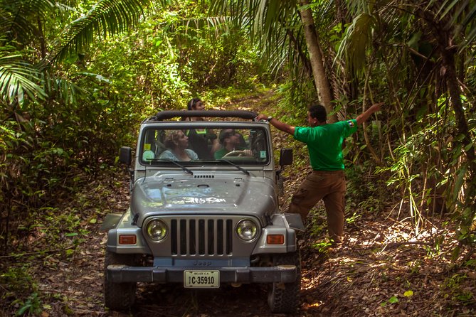Jungle Jeep Adventure From Belize City - Tour Overview