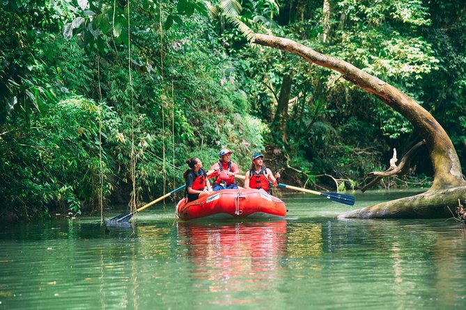 Jungle Safari Float on Sarapiqui River From La Fortuna - Tour Highlights