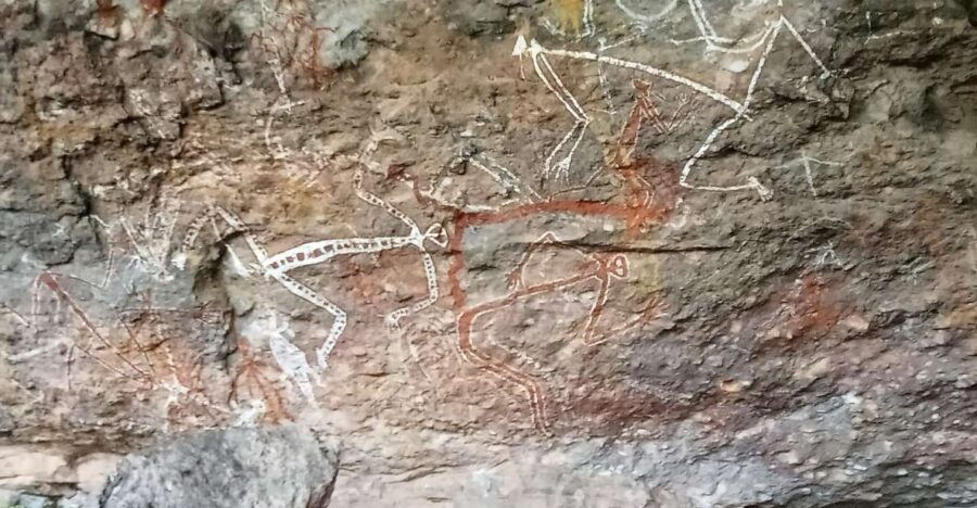 Kakadu Day Tour: Private, Yellow Water, Nourlangie, Ubirr - Good To Know