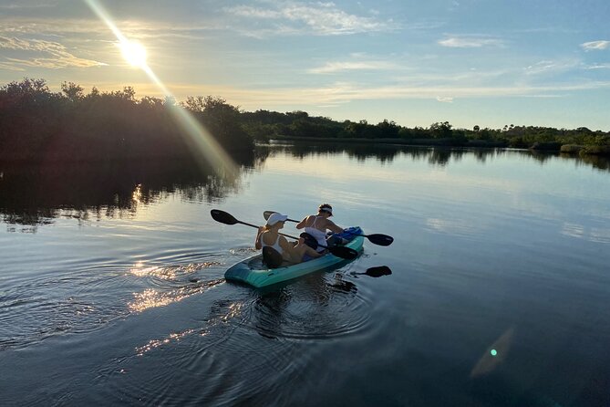Kayak/Paddle Board Rentals and Guide Services - Overview of Equipment and Inclusions