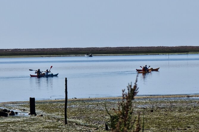 Kayak Rental in Praia Dos Cavacos - Pricing and Booking Details