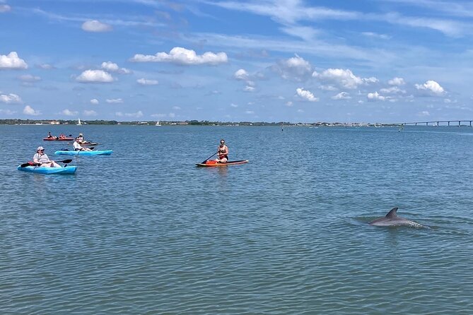 Kayak Rentals - Overview and Inclusions