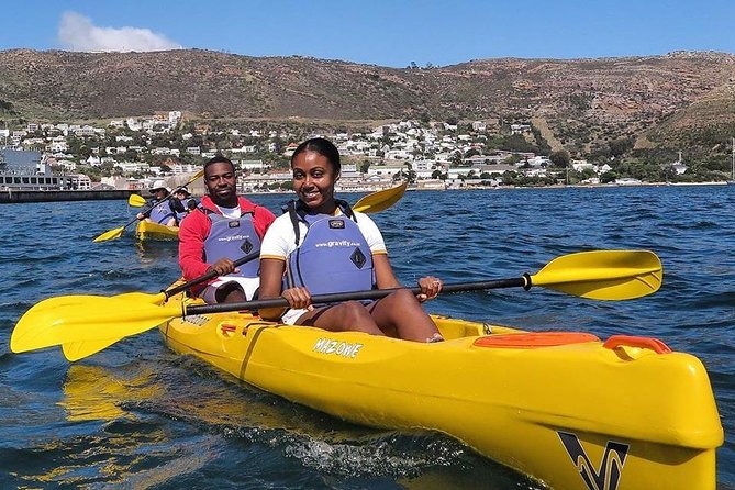 Kayak to the Penguins in Simons Town - Pricing and Value