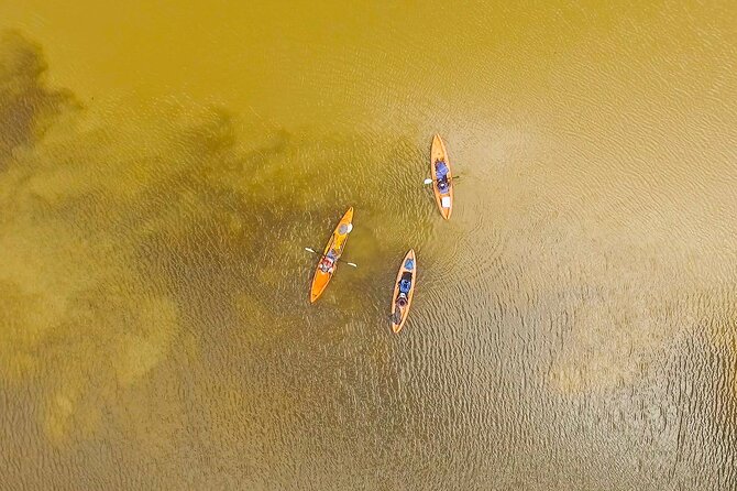 Kayak Tour - Tour Highlights