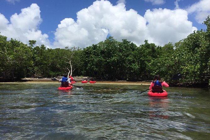 Kayaking Adventure at Savannes Bay - Activity Inclusions