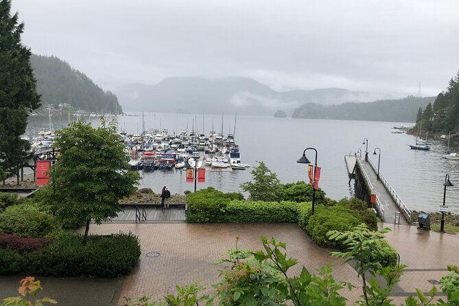 Kayaking Vancouver Tour - Tour Overview and Activities