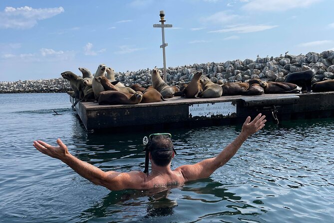 Kayaking With Sea Lions in a Calm Beautiful Harbor - Booking Details