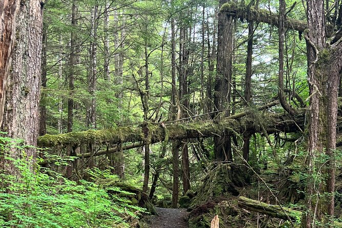 Ketchikan Remote Beach Hike With Totem Park Stop - Cancellation Policy