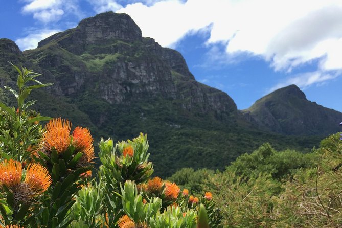 Kirstenbosch National Botanical Gardens: A Self-guided Audio Tour - Tour Information
