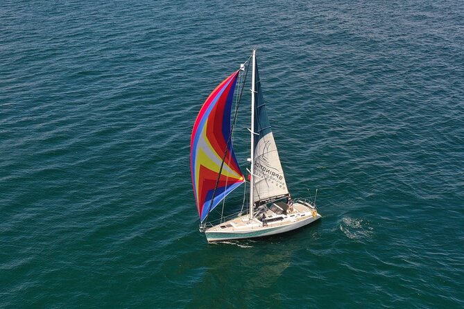 Knysna Day Sailing Cruise 1.5 Hour - Experience the Intimacy of a Small Group Setting