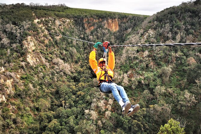 Knysna Small-Group Zipline Tour  - Plettenberg Bay - Overview of the Zipline Tour