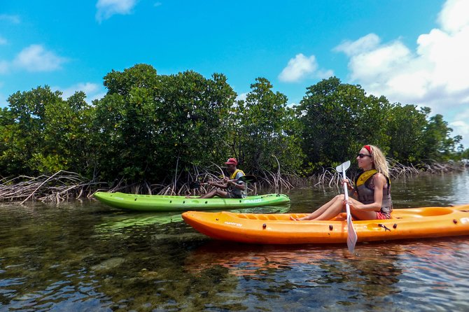 Kosi Bay Kayaking Adventure - Inclusions and Logistics