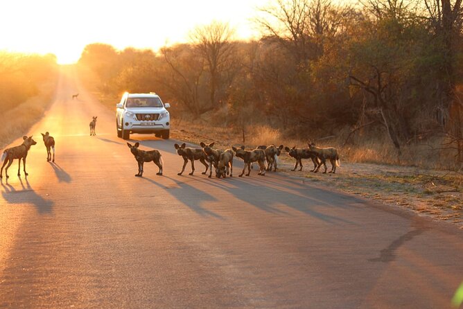 Kruger National Game Park Three Day PRIVATE Tour - Tour Overview and Details