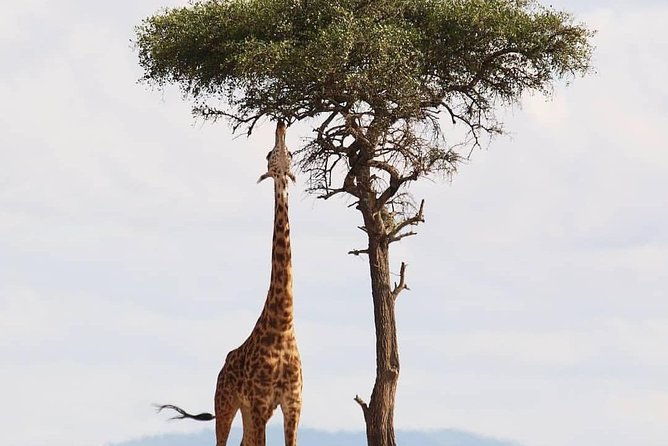 Kruger National Park 3 Days 2 Nights Classic Safari From Johannesburg Private - Itinerary Overview
