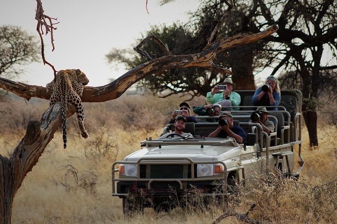 Kruger National Park Best Tour - Inclusions and Exclusions