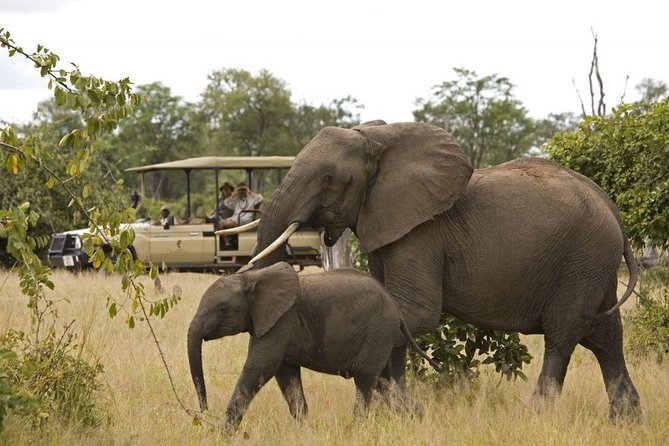 Kruger National Park Full Day Big 5 Safari Tour From Hazyview - Tour Duration and Pricing
