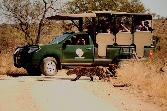 Kruger National Park Full Day Private Safari - Pricing and Booking