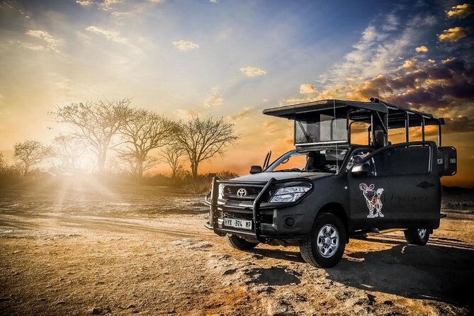 Kruger National Park Private Guided Afternoon Game Drive - Overview and Experience