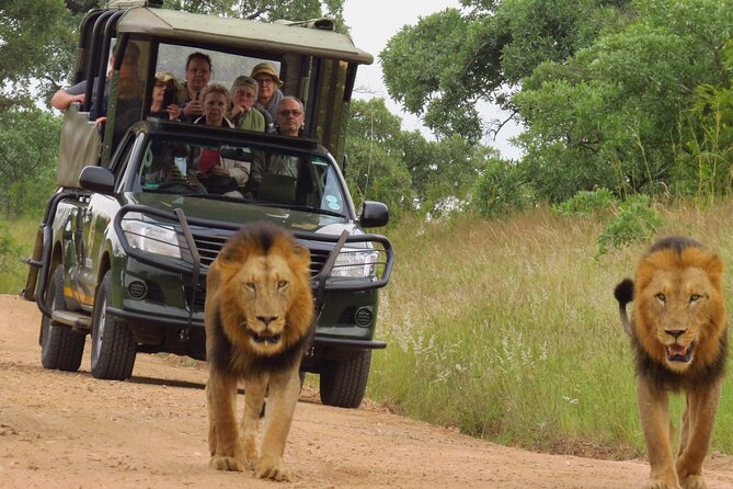 Kruger National Park Sunrise Morning Private Safari - Activity Details