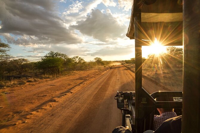 Kruger Park Half Day Open Vehicle Safari Drive - Safari Highlights