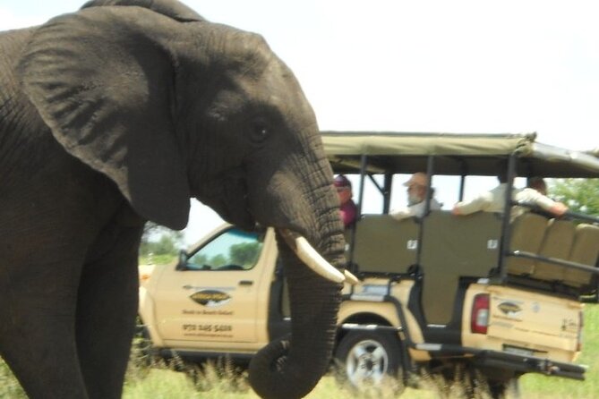 Kruger Park Safari Private Full-Day Tour From Malelane - Pickup Information