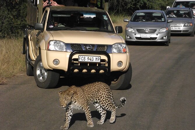Kruger Park Safari Private Full-Day Tour From Marloth Park - Tour Highlights