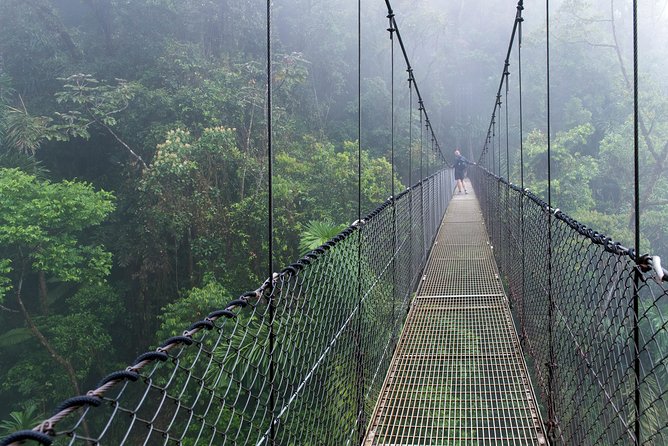 La Fortuna Arenal: Guided Suspension Bridge Walking Tour - Tour Overview