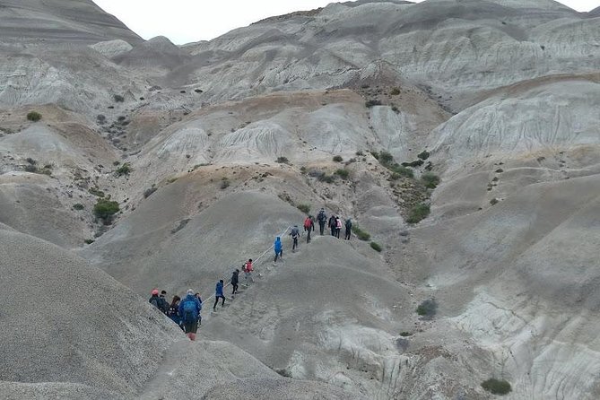 La Leona Petrified Forest Day Trip From El Calafate (Feb ) - Tour Highlights
