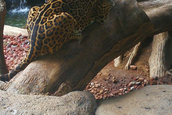 La Paz Waterfall Gardens & Wildlife Refuge Day Tour From San Jose - Tour Overview